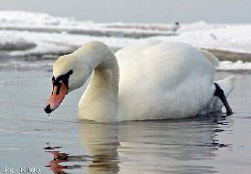 Erholung in den Wintermonaten in Lubmin